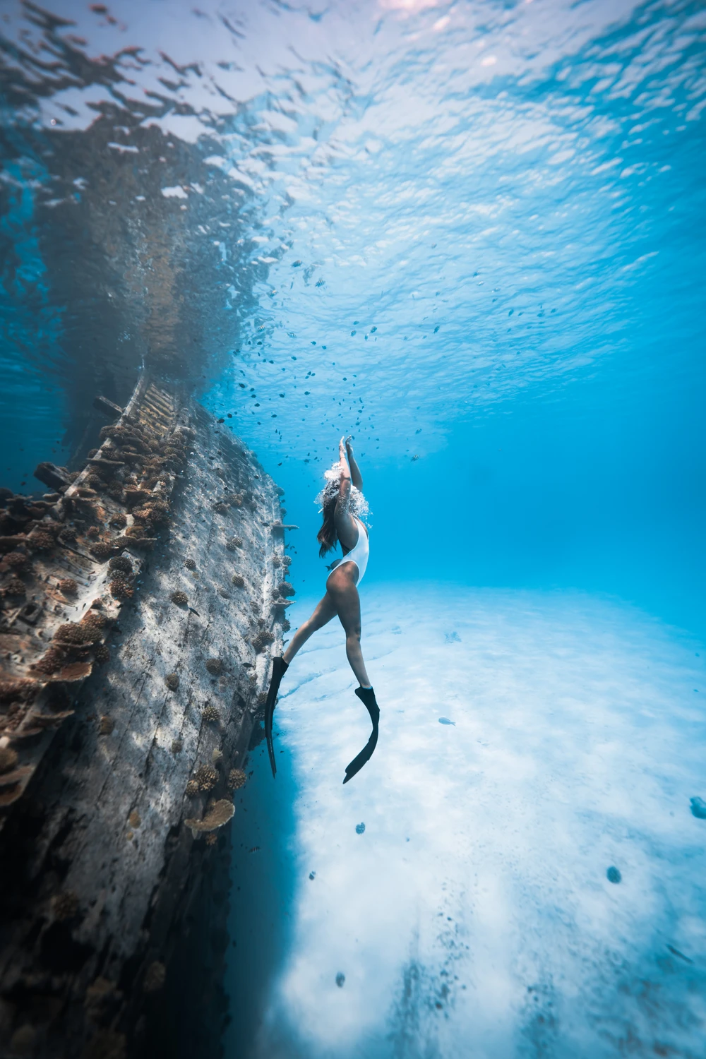 photo for Island Hopping Vaavu 
